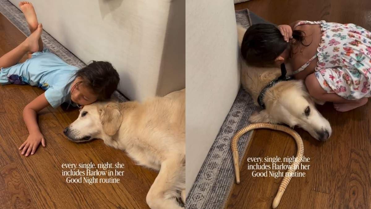 Uroczy rytuał na dobranoc: dziewczynka i jej golden retriever