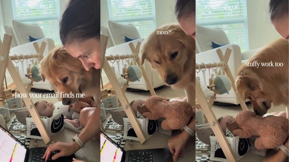Mama pracuje zdalnie z dwoma „potrzebującymi współpracownikami” – dzieckiem i golden retrieverem