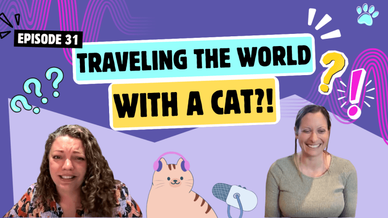 Podróżowanie z kotem: fakty i mity z podcastu Chatty Cattys